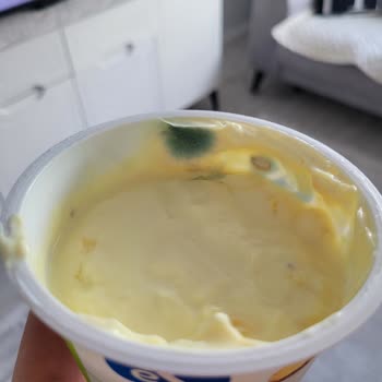 Tarihi Geçmemiş Yoğurtta Küf: Sağlık Riski Ve Güven Kırılması