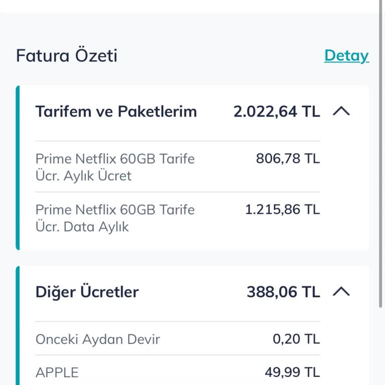 Bilgilendirme Eksikliği Ve Yanıltıcı Müşteri Temsilciliği Nedeniyle 1.389 TL Fazla Fatura