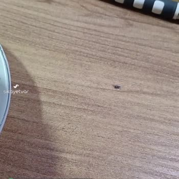 Milka'nın İnsan Sağlığıyla Oynayan Çikolatası!