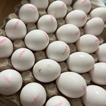 Son Kullanma Tarihi Silinmiş Ve Bozulmuş Kokuya Sahip Yumurta Satışı