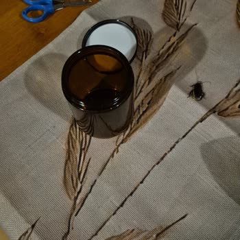 Banyo Organizer’ında Hamam Böceği Bulunması Ve İade Talebi