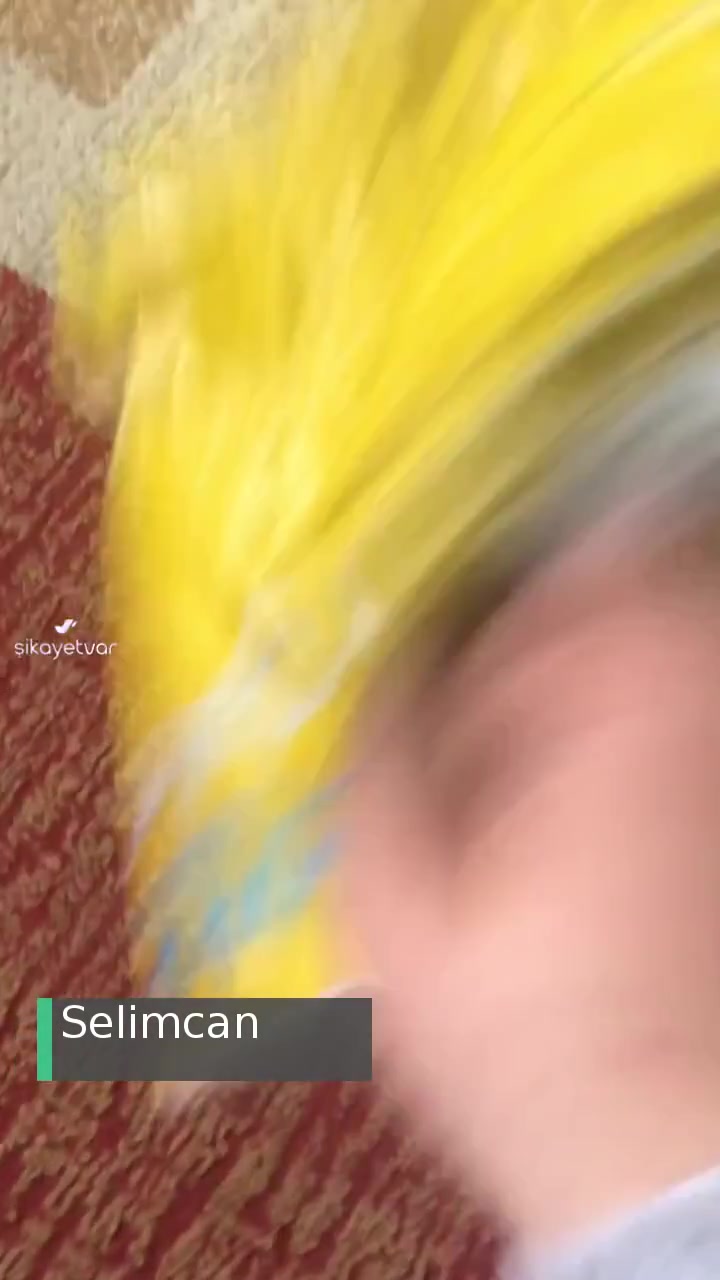 Galaksi Kargo Aracılık Hizmetleri Kutu Boş Geldi, İade İstiyorum! videonun kapak resmi