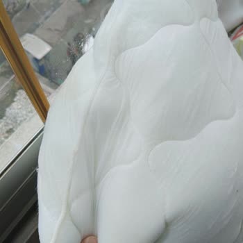 Boyner'den Aldığım Yastık Ayıplı Ve Kötü Kokuyor, İade Talebi