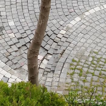 Bedaş’tan Çöken Alana Acil Toprak Doldurma Ve Güvenlik Önlemi Talebi