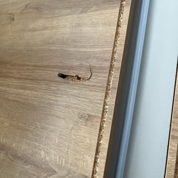 Kırık Parçalar Ve Eksik Montaj Nedeniyle Yaşanan Müşteri Mağduriyeti