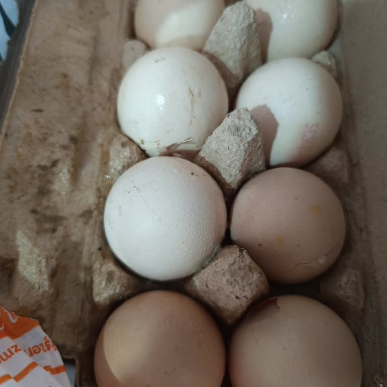 Kırık Yumurta Teslimatı Ve Cevapsız İade Talebi