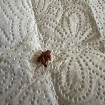 Tukaş Markalı Cam Kavanozda Yabancı Madde Bulundu