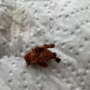 Tukaş Markalı Cam Kavanozda Yabancı Madde Bulundu