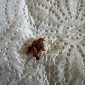 Tukaş Markalı Cam Kavanozda Yabancı Madde Bulundu