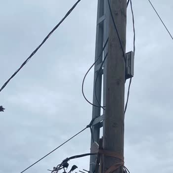 Kopuk Elektrik Kablonun 9 Aylık Gözardı Edilmesi Çocukları Tehlikeye Atıyor