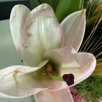 Çiçek Sepeti'nden Çürük Çiçek Ve Yetersiz Müşteri Desteği