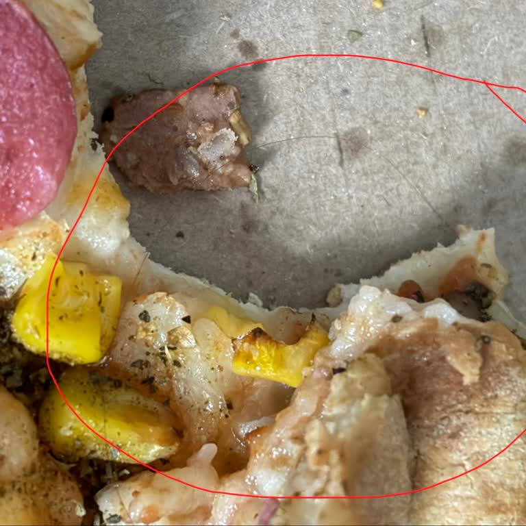 Saçlı Pizza Hijyen Şikayeti Ve İade Talebi