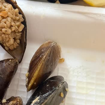 Bozuk Ve Kıllı Midye Siparişi İçin Tam İade Talebi