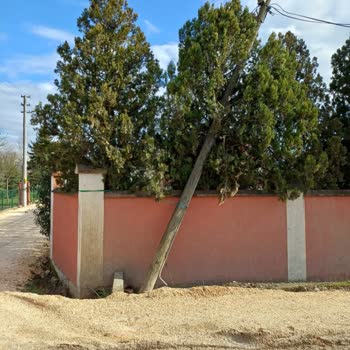 Türk Telekom Telefon Direği İhmal Ediliyor Ve Acil Çözüm Talep Ediliyor