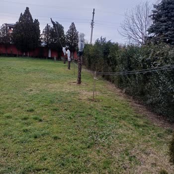 Türk Telekom Telefon Direği İhmal Ediliyor Ve Acil Çözüm Talep Ediliyor