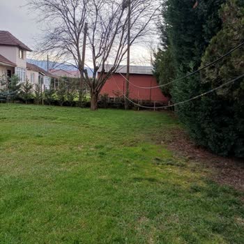 Türk Telekom Telefon Direği İhmal Ediliyor Ve Acil Çözüm Talep Ediliyor