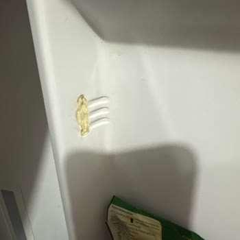 Vestel Buzdolabındaki Gaz Kaçağı İçin Ücretsiz Değişim Talebi