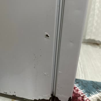 Vestel Buzdolabındaki Gaz Kaçağı İçin Ücretsiz Değişim Talebi