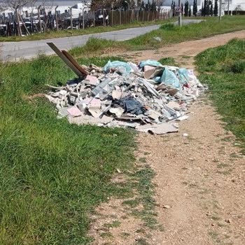 Gaziemir Zafer Mahallesi Evka 7'de Sokak Köpekleri Güvenliği Tehdit Ediyor