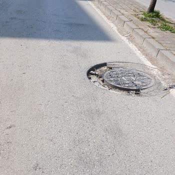 Gaziemir Zafer Mahallesi Evka 7'de Sokak Köpekleri Güvenliği Tehdit Ediyor