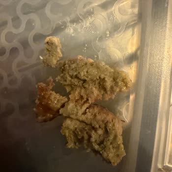 Burger King Ranch Burgerde Bozulmuş Yeşil Et İçin Zehirlenme Riski Şikayeti