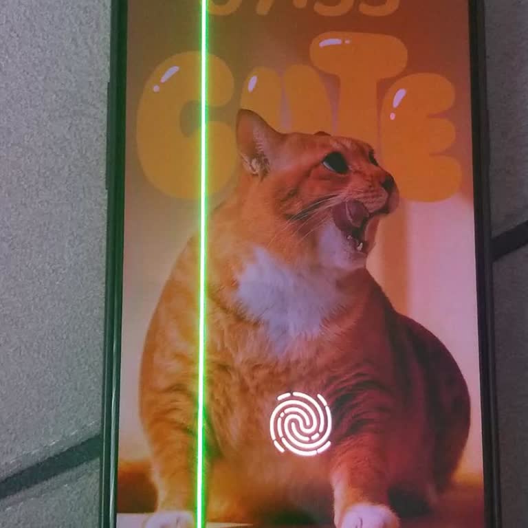 Kendiliğinden Beliren Yeşil Çizgi Ve Ücretsiz Ekran Değişimi Bilgilendirme Çelişkisi