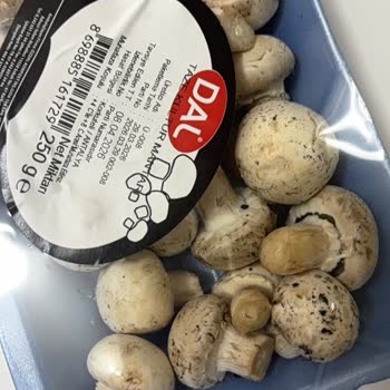 Yanlış Gönderilen Ve Bozulmuş Et Mantar Ürünleri İçin Ücret İadesi