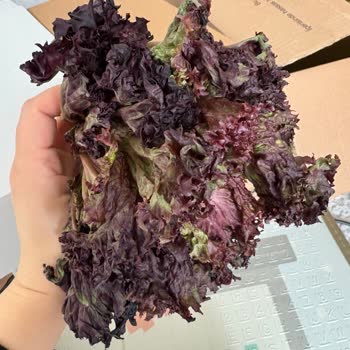 Yanıltıcı İçerik Bilgisi, Uygulanmayan İndirim Ve Bozuk Ürün Şikayeti