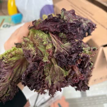 Yanıltıcı İçerik Bilgisi, Uygulanmayan İndirim Ve Bozuk Ürün Şikayeti