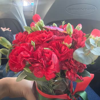 Çürük Karanfil Çiçekleri Teslim Edildi, Müşteri Hayal Kırıklığı Yaşadı