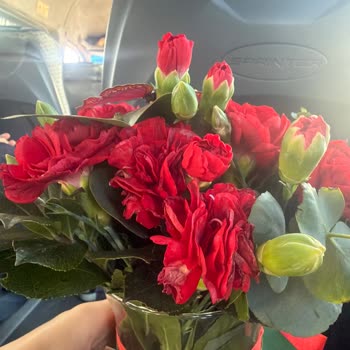 Çürük Karanfil Çiçekleri Teslim Edildi, Müşteri Hayal Kırıklığı Yaşadı