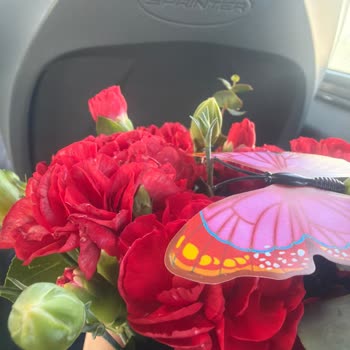 Çürük Karanfil Çiçekleri Teslim Edildi, Müşteri Hayal Kırıklığı Yaşadı