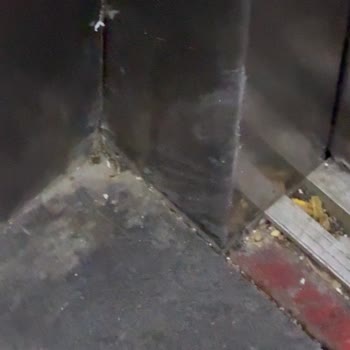 Planlı Elektrik Kesintileri Ve Yetersiz Site Yönetimi Öğrenciyi Mağdur Ediyor