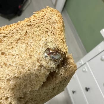 Undano Kepek Ekmeğinde Metal Parça Bulunması Ve Üreticinin Cevapsızlığı
