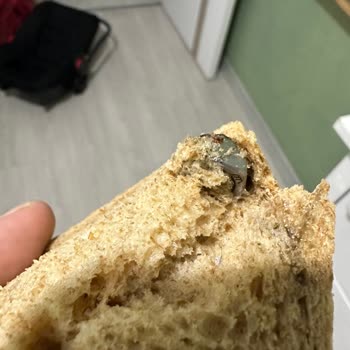 Undano Kepek Ekmeğinde Metal Parça Bulunması Ve Üreticinin Cevapsızlığı