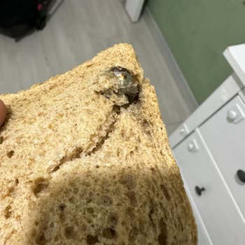 Undano Kepek Ekmeğinde Metal Parça Bulunması Ve Üreticinin Cevapsızlığı