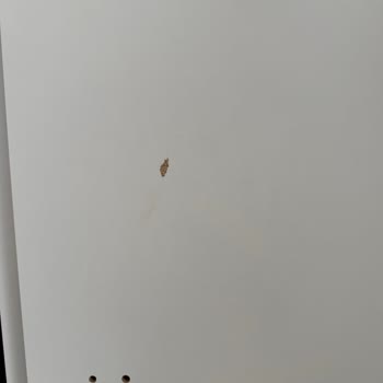 Defolu Gardırop Ve Mağazanın Cevapsız Tutumu