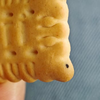 Migros Mudanya’da Satın Aldığım Eti Petit Beurre Mini Bisküvilerinde Siyah Yabancı Maddeler