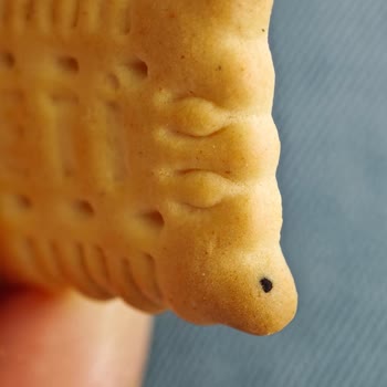 Migros Mudanya’da Satın Aldığım Eti Petit Beurre Mini Bisküvilerinde Siyah Yabancı Maddeler