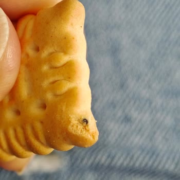 Migros Mudanya’da Satın Aldığım Eti Petit Beurre Mini Bisküvilerinde Siyah Yabancı Maddeler