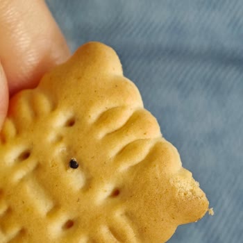 Migros Mudanya’da Satın Aldığım Eti Petit Beurre Mini Bisküvilerinde Siyah Yabancı Maddeler