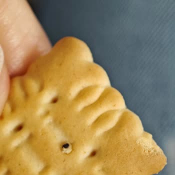 Migros Mudanya’da Satın Aldığım Eti Petit Beurre Mini Bisküvilerinde Siyah Yabancı Maddeler