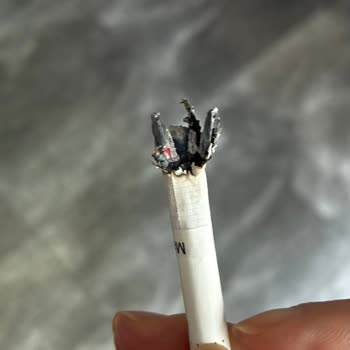 Marlboro Touch White Sigara Yanma Ve Tat Sorunları
