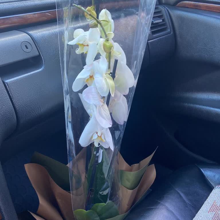 Teslimat Gecikmesi Ve Solmuş Çiçek İçin Ücret İadesi Talebi