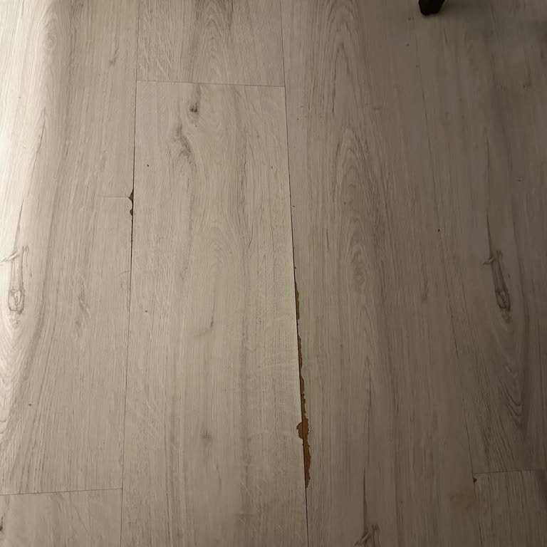 Eksper Raporu Gecikmesi Ve Bilgi Akışındaki Sorunlar