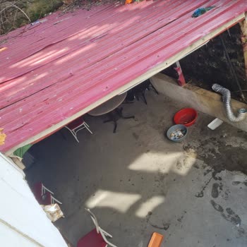 Ortak Bahçenin İzinsiz Kiralanması Ve Yetkisiz Alkol Ve Kumar Faaliyetlerine Karşı Mücadele Talebi