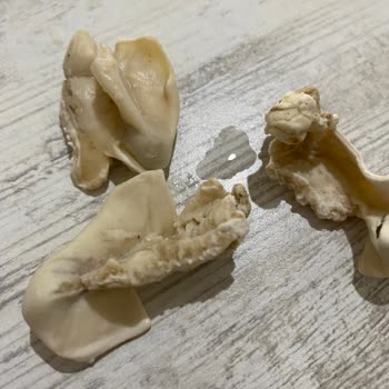 Superfresh Mantı Ürünün İçinde Bozulmuş Yabancı Madde