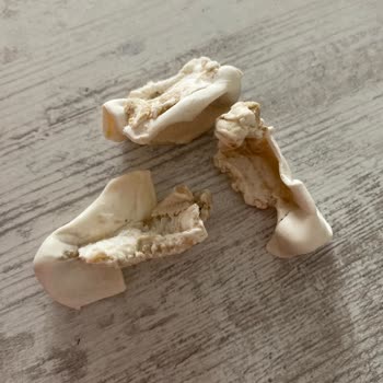 Superfresh Mantı Ürünün İçinde Bozulmuş Yabancı Madde