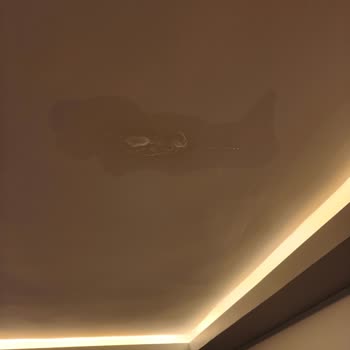 Sompo Sigorta Çatı Tamirini Reddetti, Sadece Boya Masrafını Karşıladı