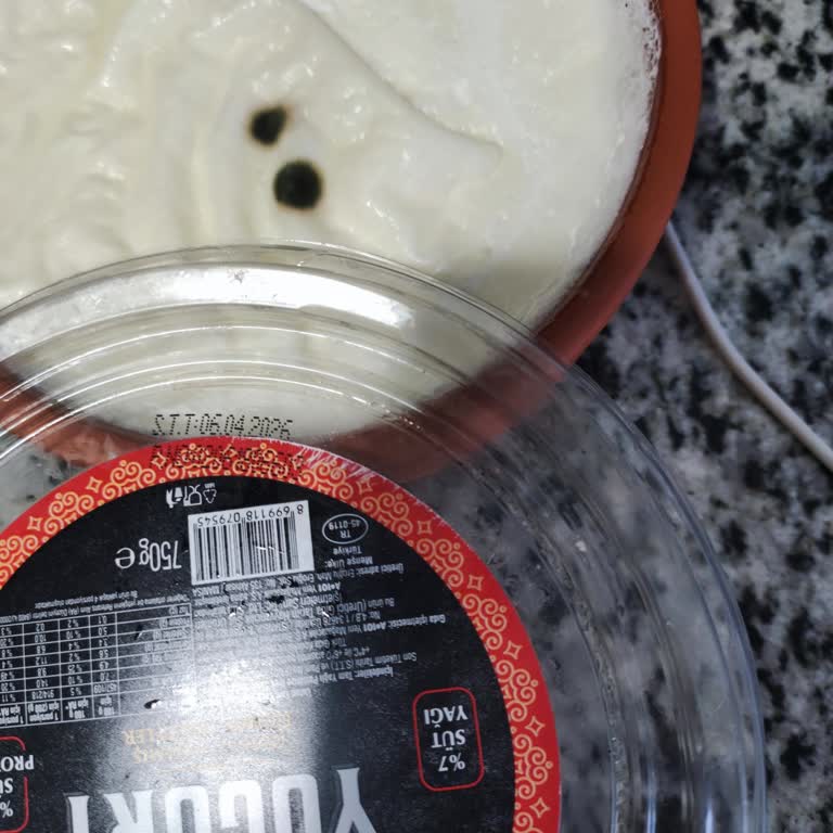 Yoğurtta Küf: Son Kullanma Tarihi Yanıltıcı Ve Sağlık Riski